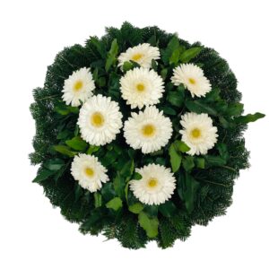 Domb koszorú Gerbera