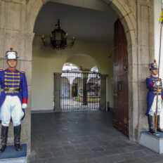 ecvador-rozsa-egerviragkuldes-viragkiszallitas-eger-20130730-30