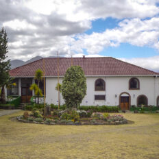 ecvador-rozsa-egerviragkuldes-viragkiszallitas-eger-20130731-20