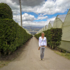 ecvador-rozsa-egerviragkuldes-viragkiszallitas-eger-20130731-21