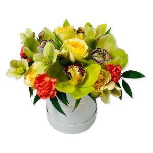 Melui orchidea virágdoboz